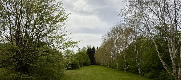 Grundstück in Persenbeug-Gottsdorf, Austria 42565m², Nr. 134132 5