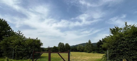 Grundstück in Persenbeug-Gottsdorf, Austria 42565m², Nr. 134132 13