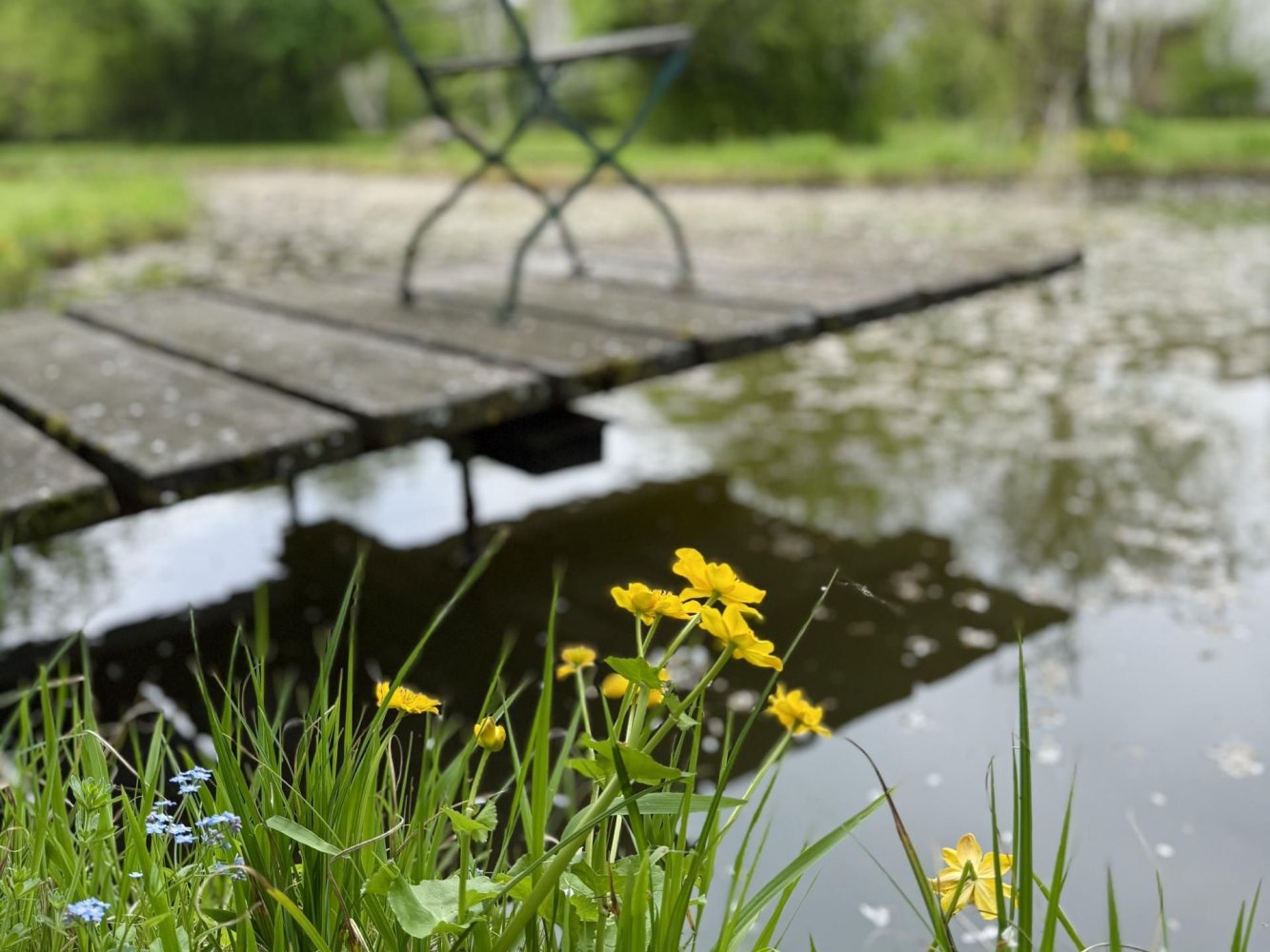 Grundstück in Persenbeug-Gottsdorf, Austria 42565m², Nr. 134132