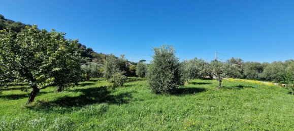 3غرفة فيلا في Monte Porzio Catone, Italy رقم 142246 26