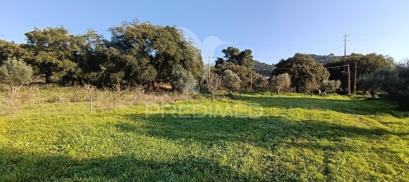 Grundstück in Palmela, Portugal 7320m², Nr. 74578 16