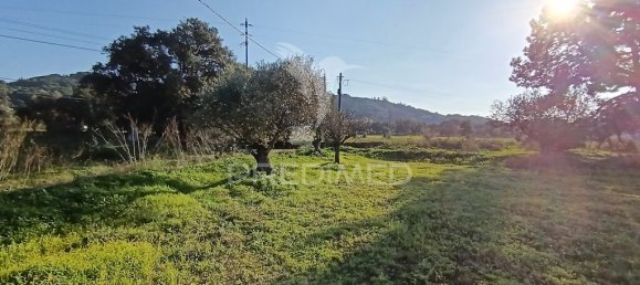 Grundstück in Palmela, Portugal 7320m², Nr. 74578 8