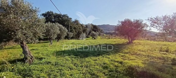 Grundstück in Palmela, Portugal 7320m², Nr. 74578 3