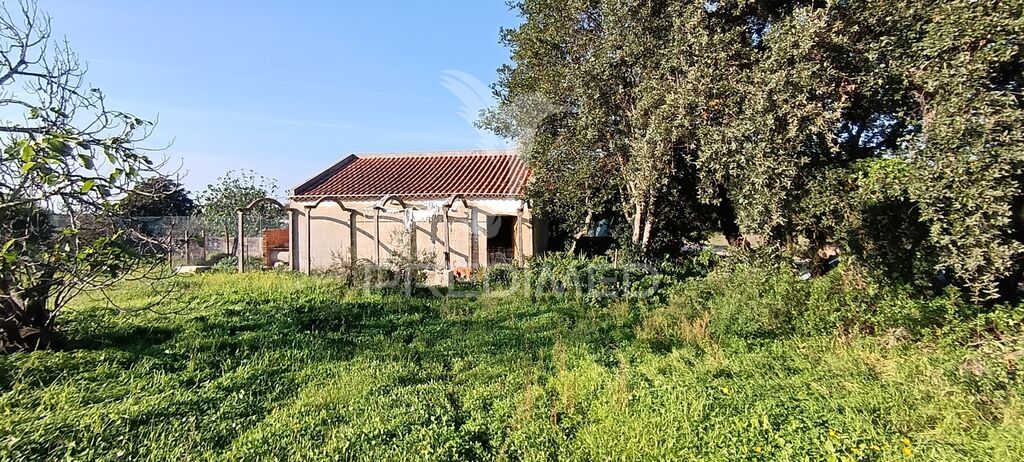 Grundstück in Palmela, Portugal 7320m², Nr. 74578