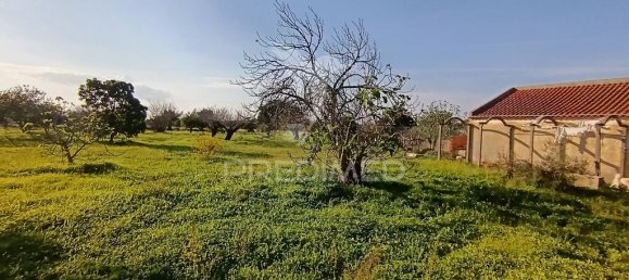 Grundstück in Palmela, Portugal 7320m², Nr. 74578 19