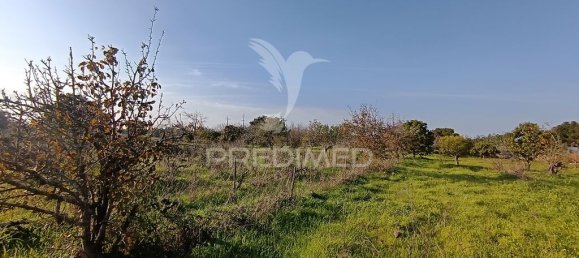 Grundstück in Palmela, Portugal 7320m², Nr. 74578 5