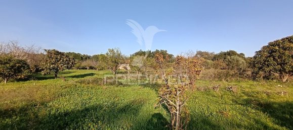 Grundstück in Palmela, Portugal 7320m², Nr. 74578 18