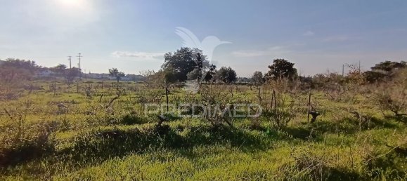 Grundstück in Palmela, Portugal 7320m², Nr. 74578 4