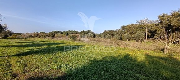 Grundstück in Palmela, Portugal 7320m², Nr. 74578 13