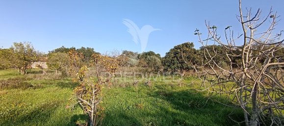 Grundstück in Palmela, Portugal 7320m², Nr. 74578 17