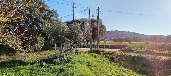 Grundstück in Palmela, Portugal 7320m², Nr. 74578 9