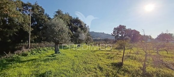 Grundstück in Palmela, Portugal 7320m², Nr. 74578 6