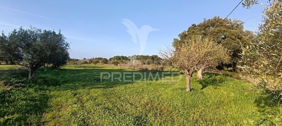 Grundstück in Palmela, Portugal 7320m², Nr. 74578 10