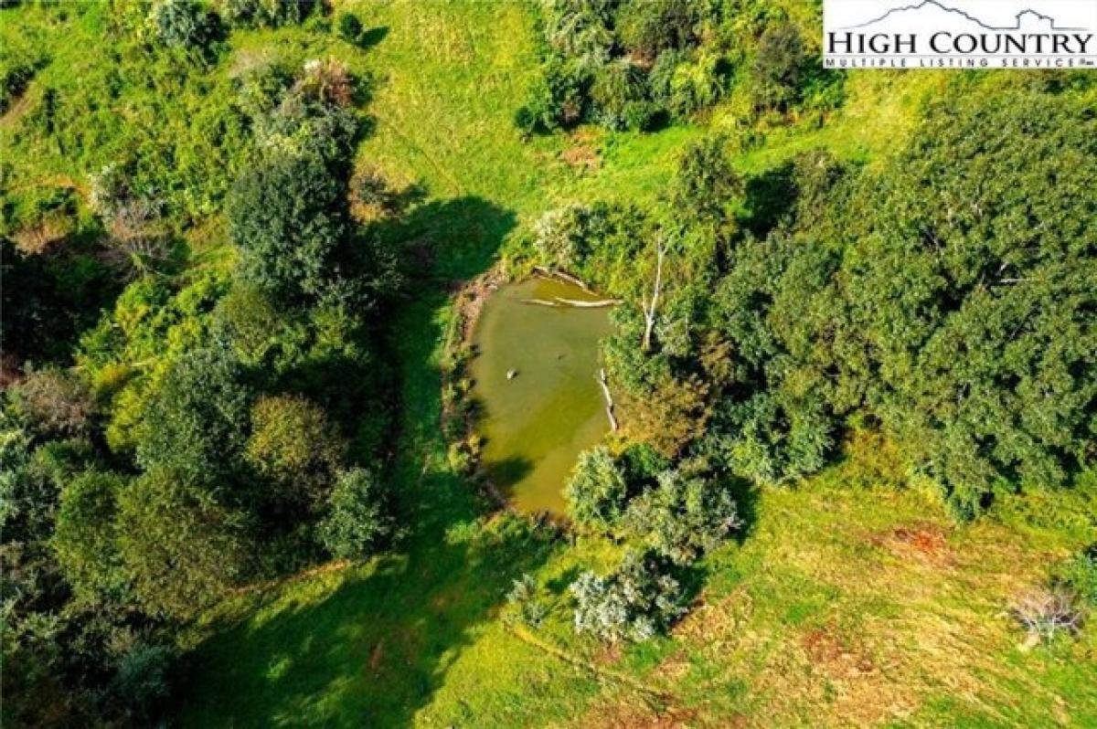 Grundstück in Mouth of Wilson, USA, Nr. 494526