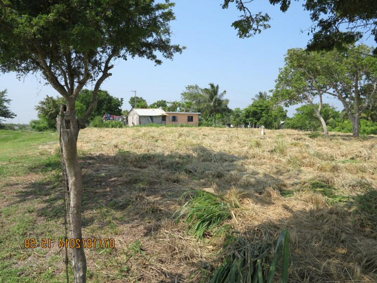 Земельный участок в Веракрус, Мексика № 205257