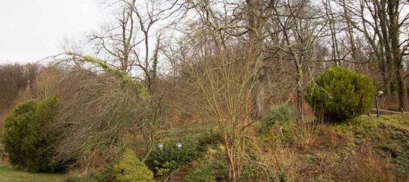 5 bedrooms House in Berneuil-sur-Aisne, France No. 156561 25