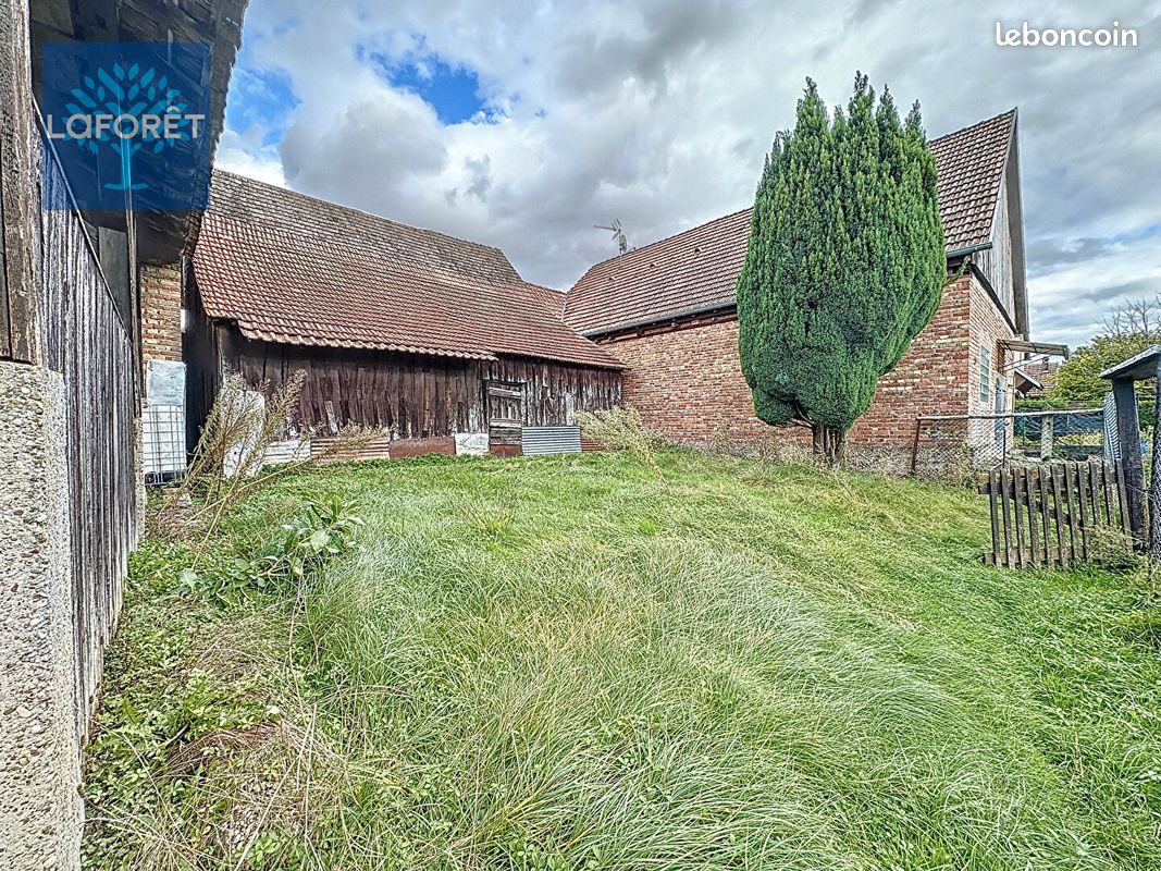 4 bedrooms House in Rhinau, France No. 219305