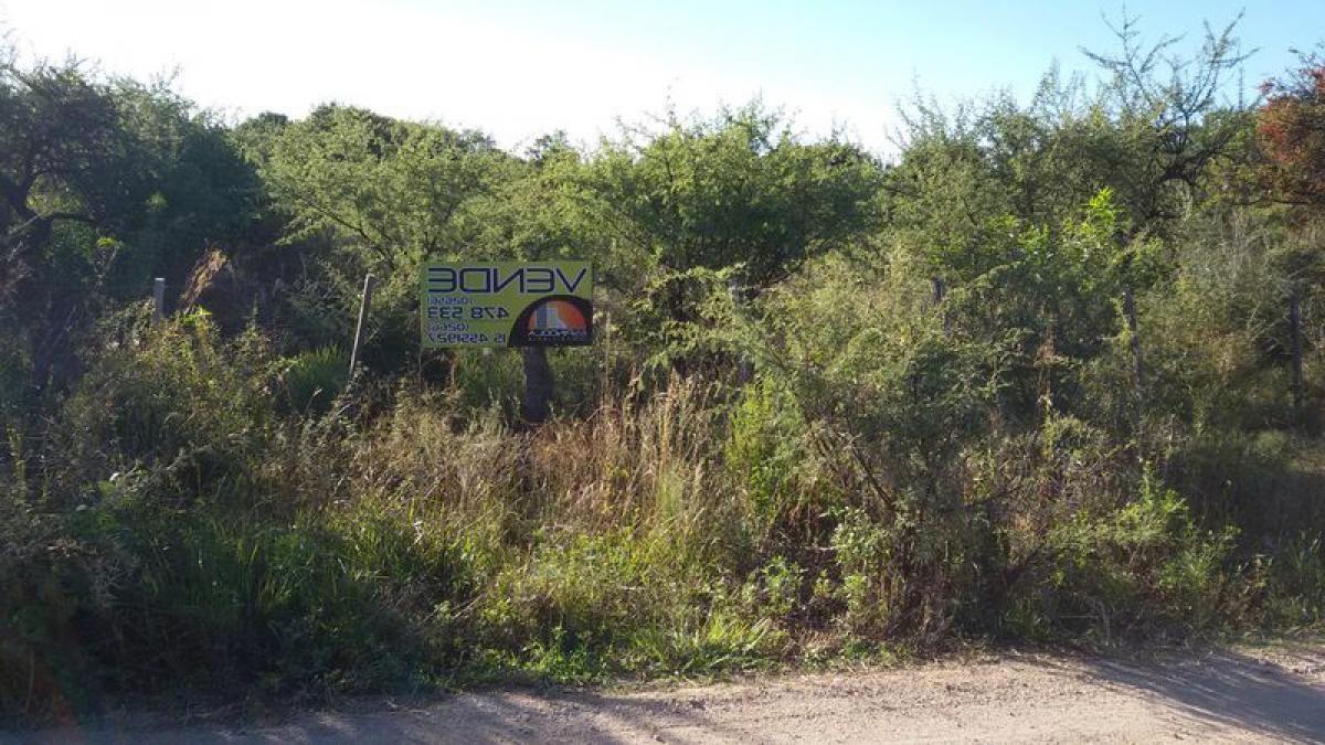  قطعة أرض في San Luis, Argentina رقم 50862