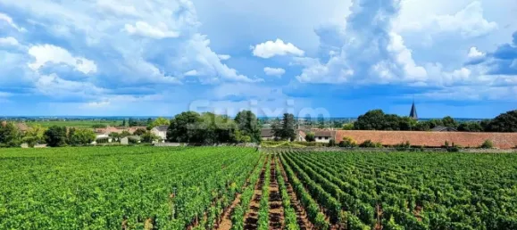 3 bedrooms Castles in Cote-d'Or, France No. 280876 5