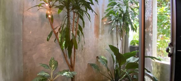 3 bedrooms Cafe / restaurant in Chiang Mai, Thailand No. 9296 19