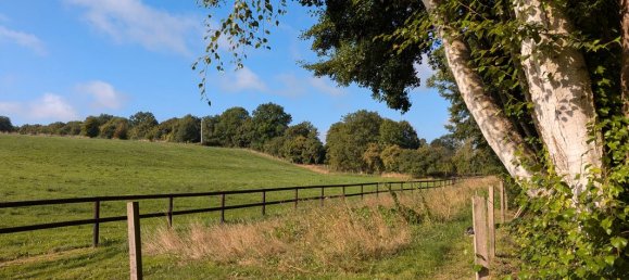 5 bedrooms Castles in Orne, France No. 356769 4