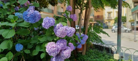 1 غرف نوم شقة في Maddaloni, Italy رقم 344934 4