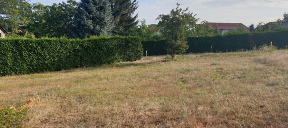  قطعة أرض في Potsdam-Mittelmark, Germany رقم 341430 5