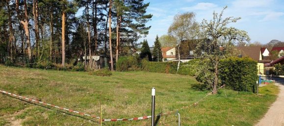  قطعة أرض في Potsdam-Mittelmark, Germany رقم 341430 3