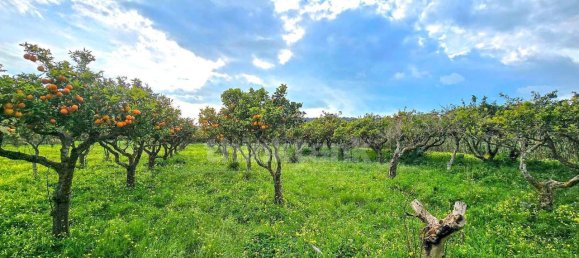 10 rooms House in Vittoria, Italy No. 113509 16