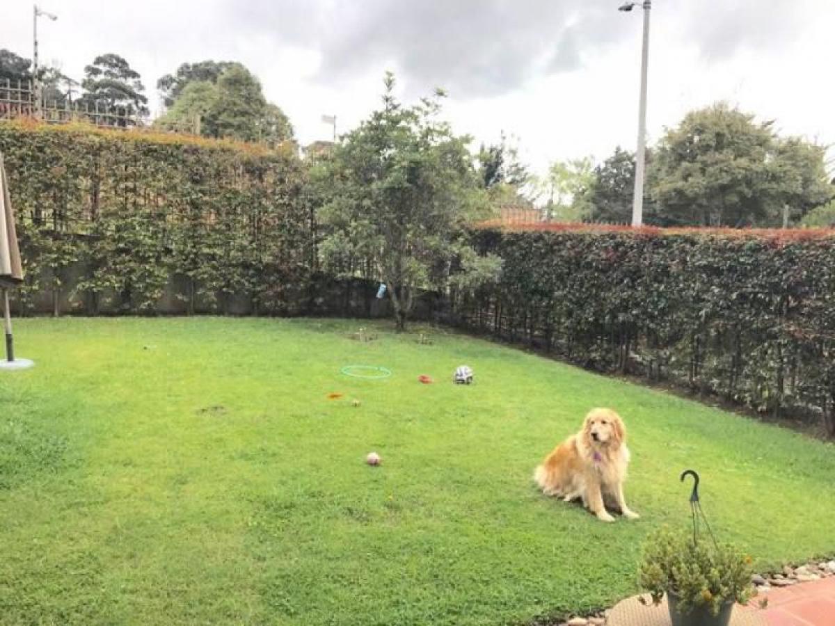 3 chambres Maison à Bogota, Colombia No. 11118