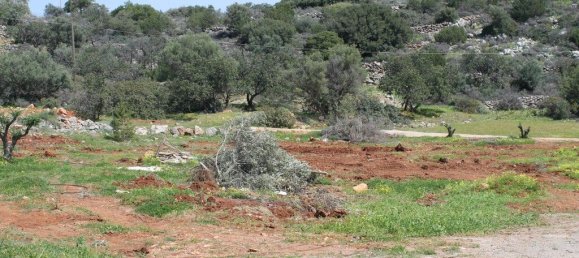 Property في Agios Nikolaos, Greece 320متر مربع رقم 4238 20