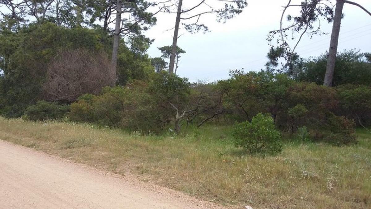 Grundstück in Maldonado, Uruguay, Nr. 14348