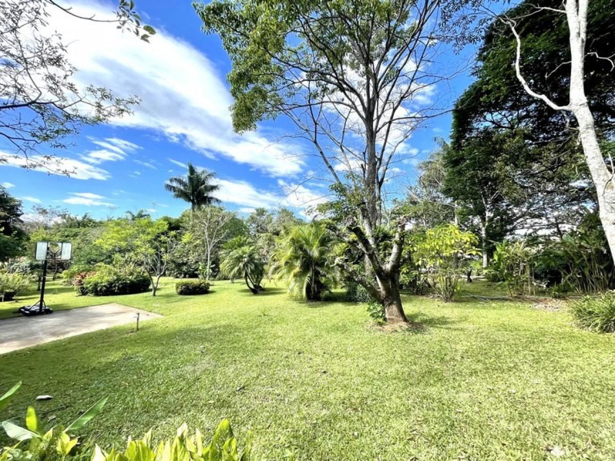 3 bedrooms House in Alajuela, Costa Rica No. 239