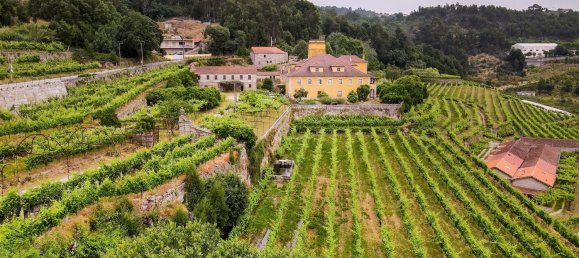 25 غرف نوم قطعة أرض في Marco de Canaveses, Portugal رقم 95650 29