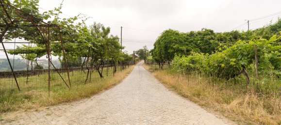 25 غرف نوم قطعة أرض في Marco de Canaveses, Portugal رقم 95650 8