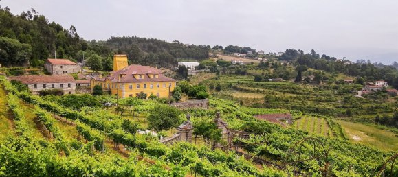 25 غرف نوم قطعة أرض في Marco de Canaveses, Portugal رقم 95650 6