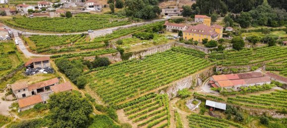 25 غرف نوم قطعة أرض في Marco de Canaveses, Portugal رقم 95650 5