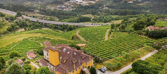 25 غرف نوم قطعة أرض في Marco de Canaveses, Portugal رقم 95650 28