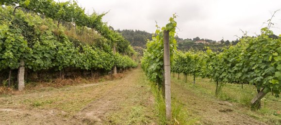 25 غرف نوم قطعة أرض في Marco de Canaveses, Portugal رقم 95650 24