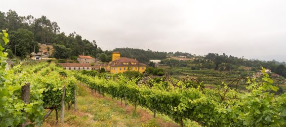 25 غرف نوم قطعة أرض في Marco de Canaveses, Portugal رقم 95650 22