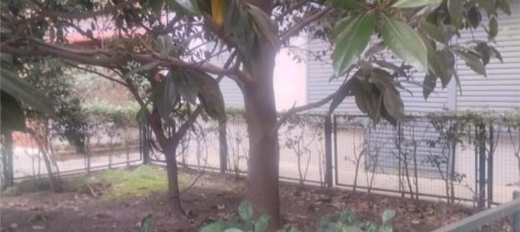 60m² Commercial property in Mostoles, Spain No. 152489 2