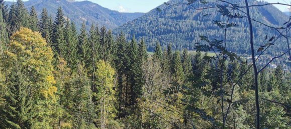  Land in Spital am Semmering, Austria No. 95929 3