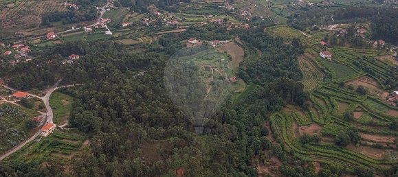 1 bedroom House in Felgueiras, Portugal No. 20878 4