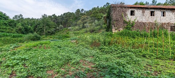 1 bedroom House in Felgueiras, Portugal No. 20878 10