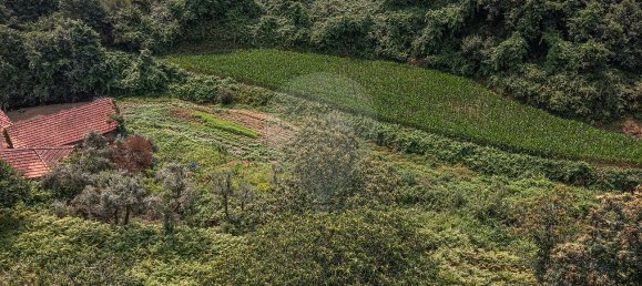 1 bedroom House in Felgueiras, Portugal No. 20878 5