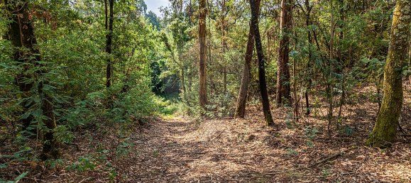 1 bedroom House in Felgueiras, Portugal No. 20878 19