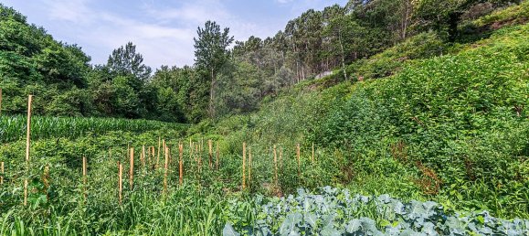 1 bedroom House in Felgueiras, Portugal No. 20878 8