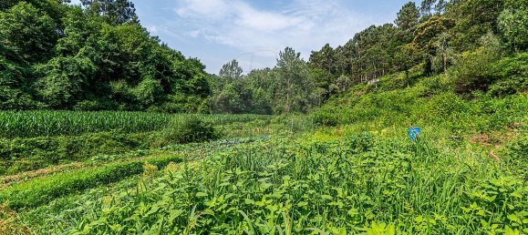 1 bedroom House in Felgueiras, Portugal No. 20878 15