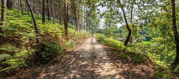 1 bedroom House in Felgueiras, Portugal No. 20878 17
