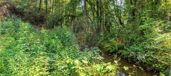 1 bedroom House in Felgueiras, Portugal No. 20878 21